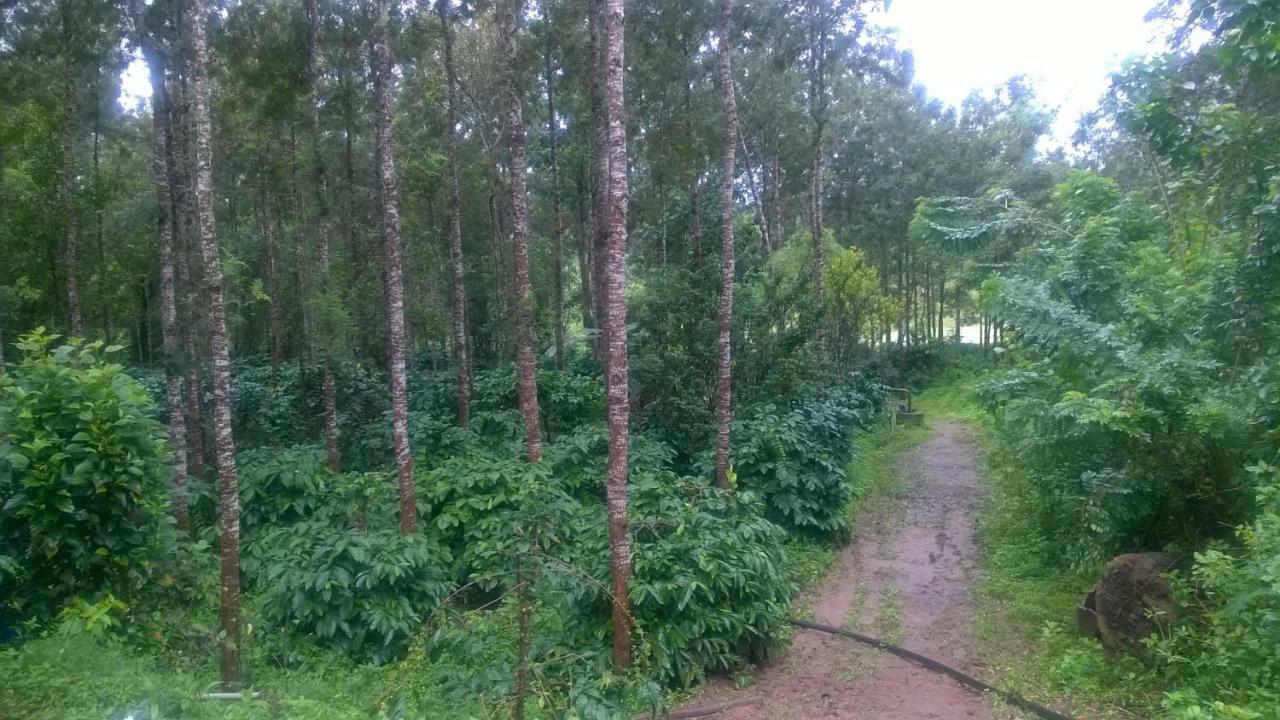Rai Cottage @ Coorg ,Suntikoppa Esterno foto