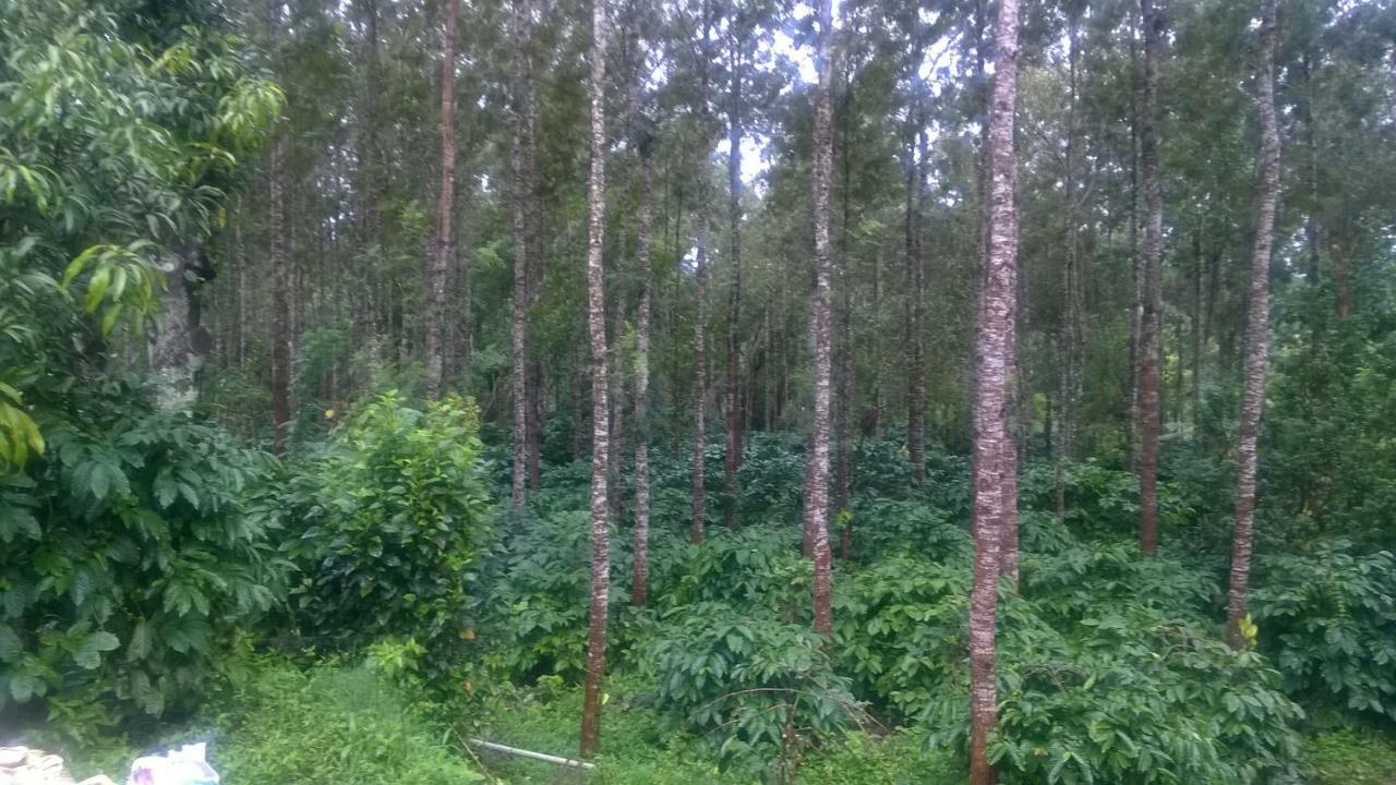 Rai Cottage @ Coorg ,Suntikoppa Esterno foto