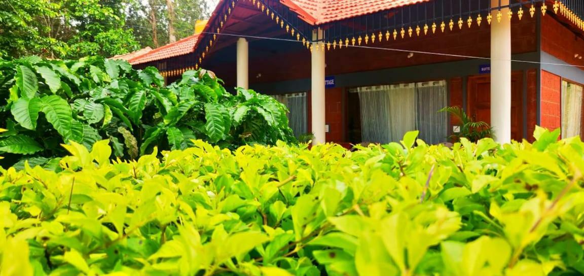 Rai Cottage @ Coorg ,Suntikoppa Esterno foto